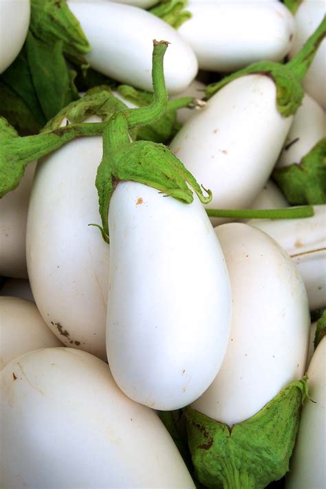 best white eggplant varieties.